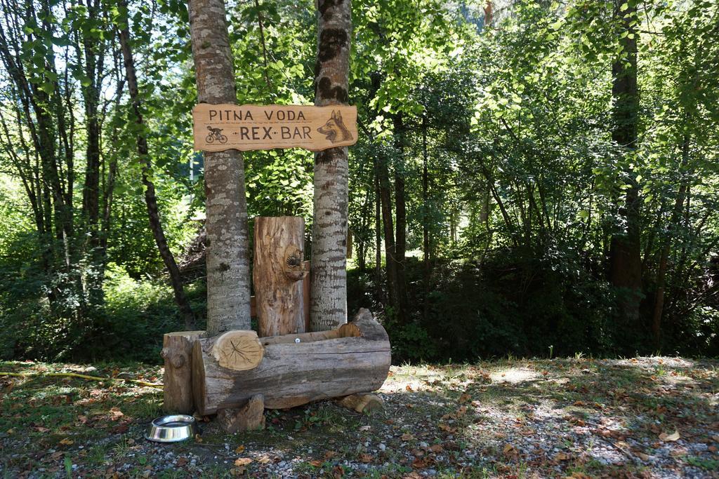 Guest House Gostisce Gacnk V Logu Церкно Екстериор снимка